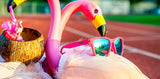 OG 'Flamingos On A Booze Cruise' Sunglasses
